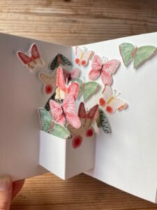 Pop-up Birthday Card